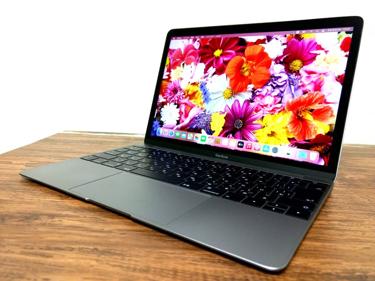 MacBook Apple Retina 12-inch 0 - | (2017) 1 256GB 8GB Core RAM GHz 