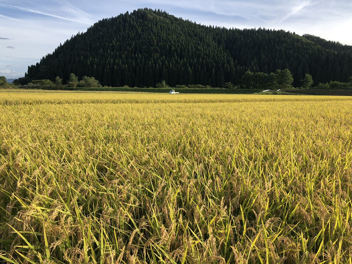 一等米】令和3年 秋田県産 あきたこまち 玄米 30kg 【赤外線乾燥機