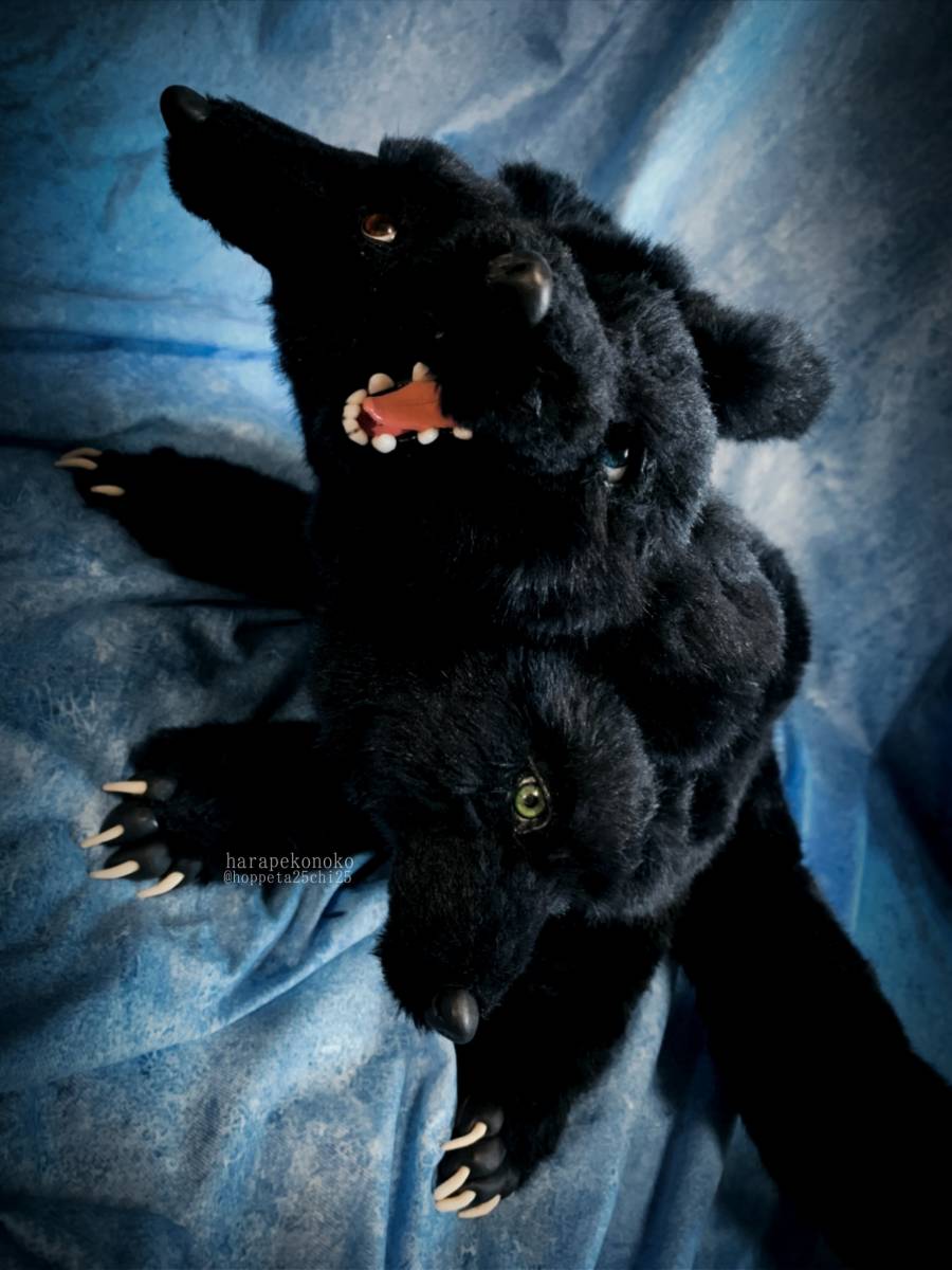 『守護のコ』 ハラペコノコ artdoll アートドール ぬいぐるみ ケルベロス_10