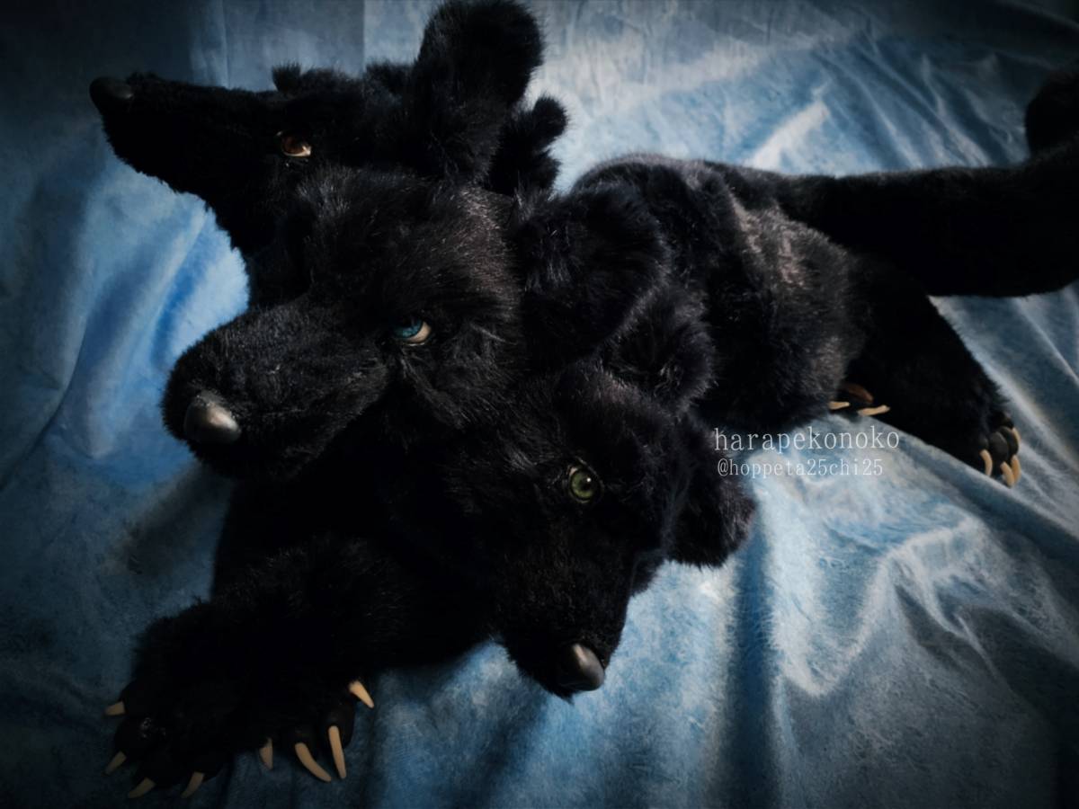 『守護のコ』 ハラペコノコ artdoll アートドール ぬいぐるみ ケルベロス_2