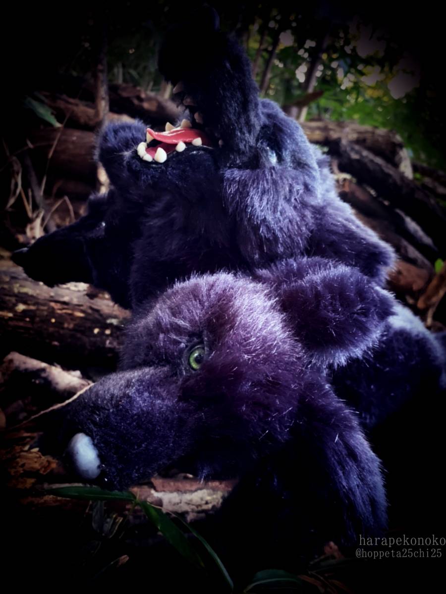 『守護のコ』 ハラペコノコ artdoll アートドール ぬいぐるみ ケルベロス_3