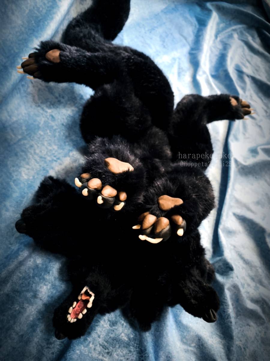 『守護のコ』 ハラペコノコ artdoll アートドール ぬいぐるみ ケルベロス_4