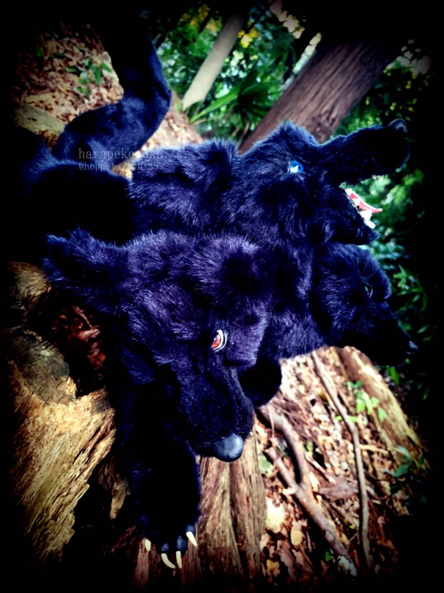 『守護のコ』 ハラペコノコ artdoll アートドール ぬいぐるみ ケルベロス_6