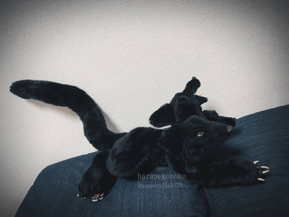 『守護のコ』 ハラペコノコ artdoll アートドール ぬいぐるみ ケルベロス_7