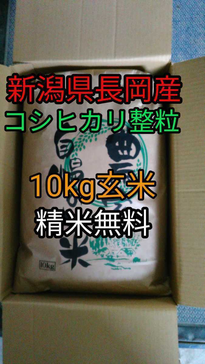 【精米無料】新潟県長岡産　令和3年度新米　コシヒカリ10キロ玄米【安心安全本物】