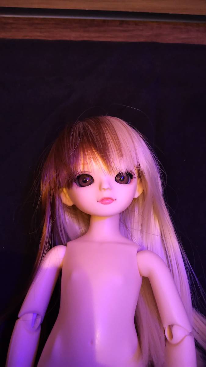 LEEKEWORLD リケワールド 幼SDサイズ 1/6 本体+ウィッグ VSweet 他詳細 