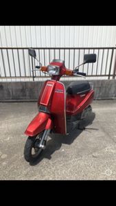 スズキ 薔薇のYahoo!オークション(旧ヤフオク!)の相場・価格を見る