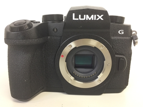 LUMIX Panasonic DC-G99 ボディ G99 パナソニック カメラ ミラーレス
