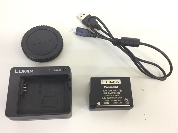 LUMIX Panasonic DC-G99 ボディ G99 パナソニック カメラ ミラーレス