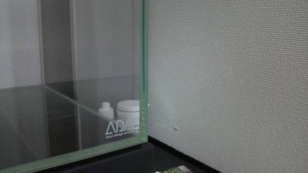 ADA キューブガーデン　60ｃｍ水槽_2