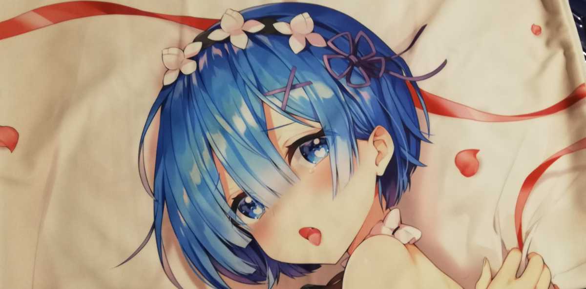 ハチゴ あやみ リゼロ Re：ゼロから始める異世界生活 レム 抱き枕 