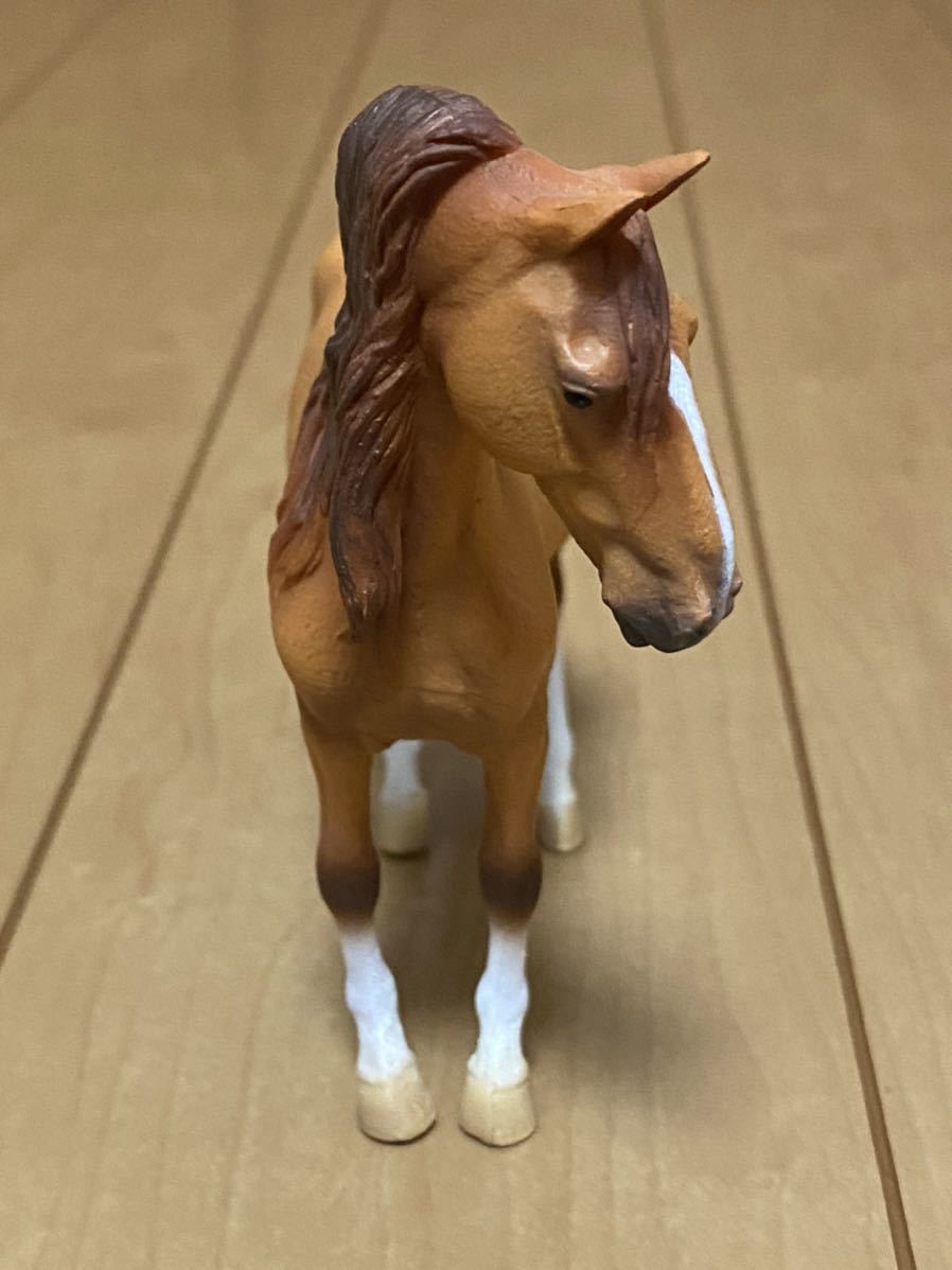 コレクタ Collecta 馬のフィギュア カンポリナ オス レア 国内入手困難 生き物 売買されたオークション情報 Yahooの商品情報をアーカイブ公開 オークファン Aucfan Com コレクタ Collecta 馬のフィギュア カンポリナ オス レア 国内入手困難 生き物 売買されたオークション情報 Yahooの商品情報をアーカイブ公開 オークファン Aucfan Com