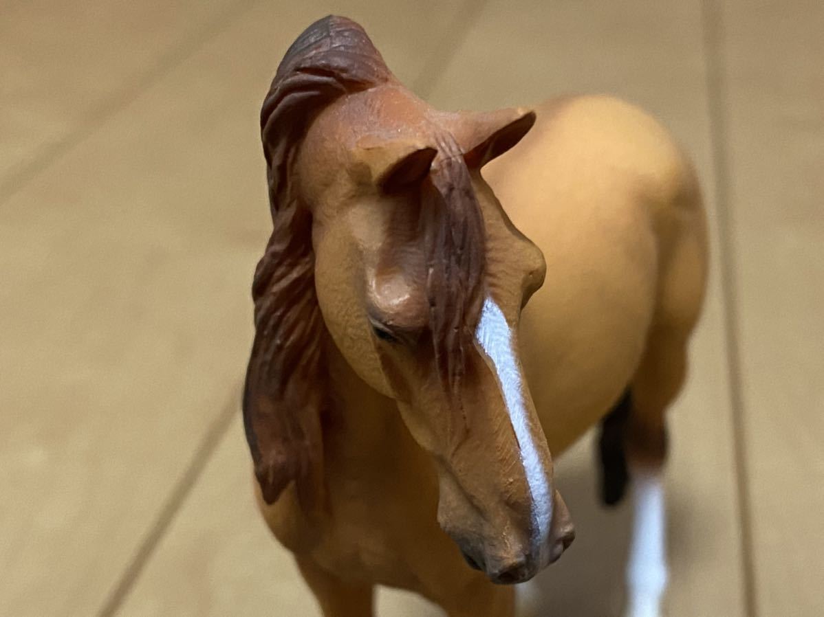 コレクタ Collecta 馬のフィギュア カンポリナ オス レア 国内入手困難 生き物 売買されたオークション情報 Yahooの商品情報をアーカイブ公開 オークファン Aucfan Com コレクタ Collecta 馬のフィギュア カンポリナ オス レア 国内入手困難 生き物 売買されたオークション情報 Yahooの商品情報をアーカイブ公開 オークファン Aucfan Com