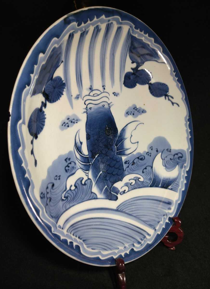 売り出し価格 古伊万里 志田窯 染付 鯉の滝登り図 32cm 大皿 江戸