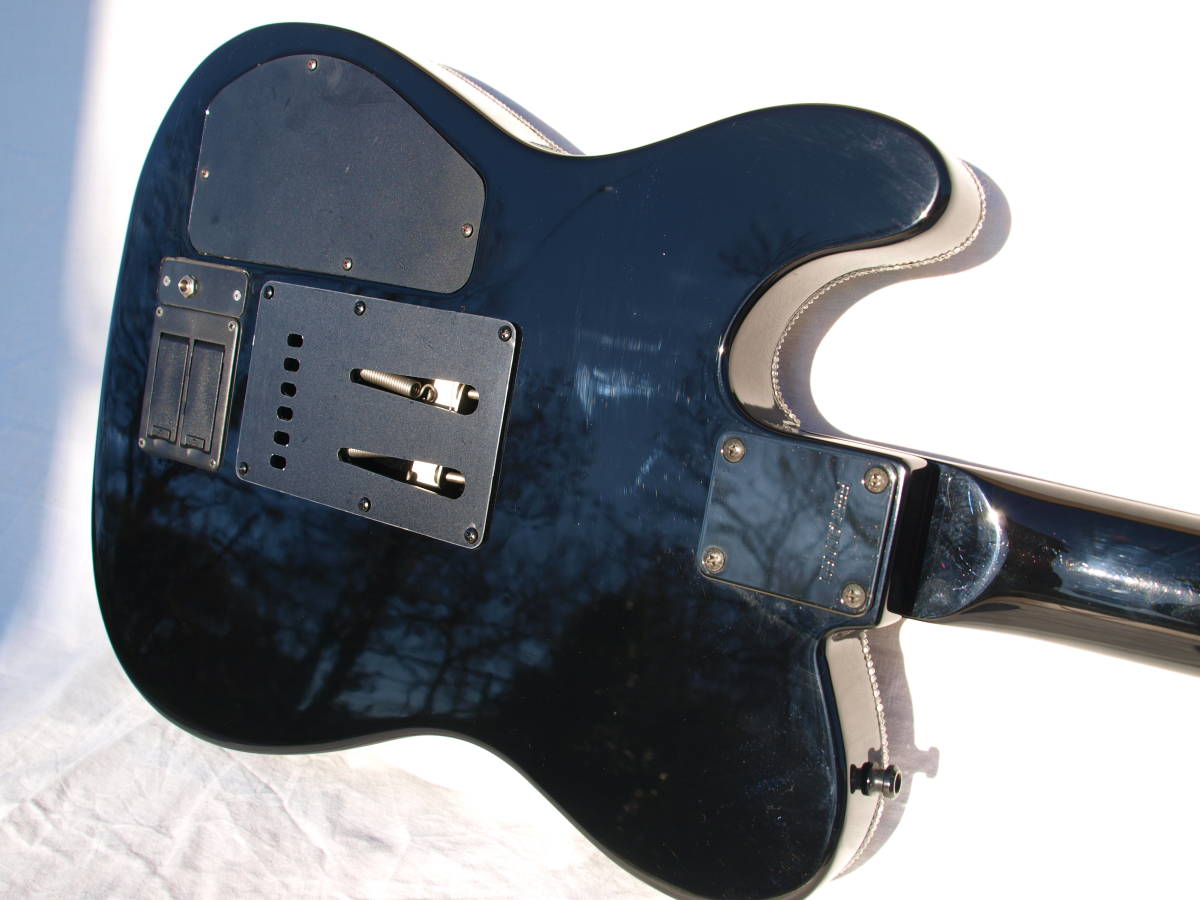 FERNANDES 超美品 初期型18Vサスティナー OH済み 本物スワロフスキー