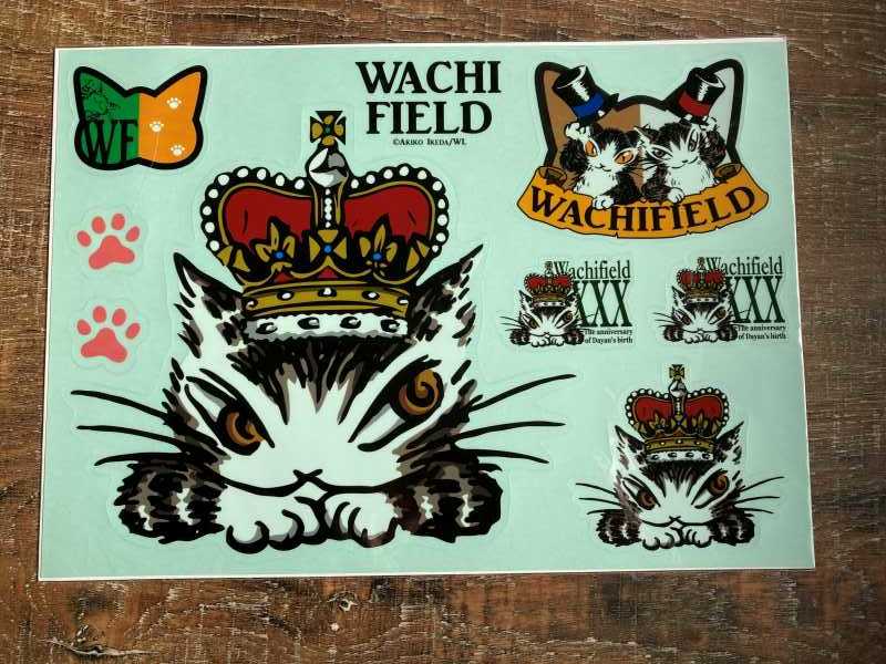 WACHI FIELD ダヤン わちふぃーるど 30th アニバーサリー