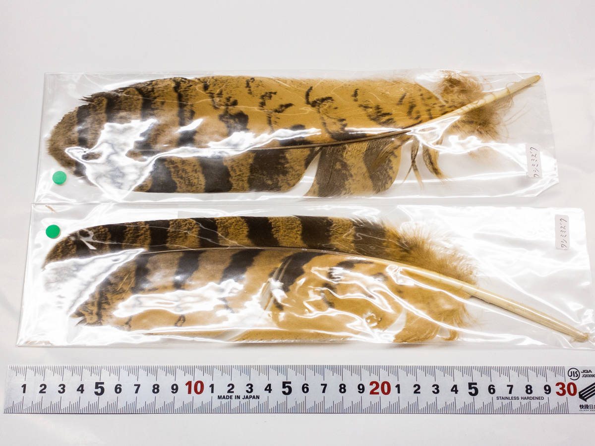 3Q売切 税無し ワシミミズクの羽根 2枚 フクロウ 鳥 帽子装飾 1217-8(その他)｜売買されたオークション情報、yahooの商品情報を ...