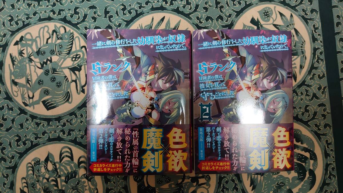 一緒に剣の修行をした幼馴染が奴隷になっていたの Sランク冒険者の僕は彼女を買って守ることにした 2 Gcn文庫 笹塔五郎 菊田幸一 ライトノベル一般 売買されたオークション情報 Yahooの商品情報をアーカイブ公開 オークファン Aucfan Com