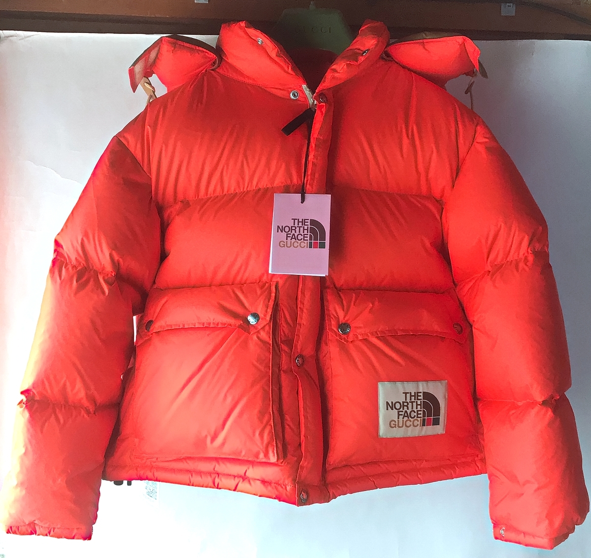 GUCCI THE NORTH FACE グッチ ノースフェイス コラボ ダウンジャケット  