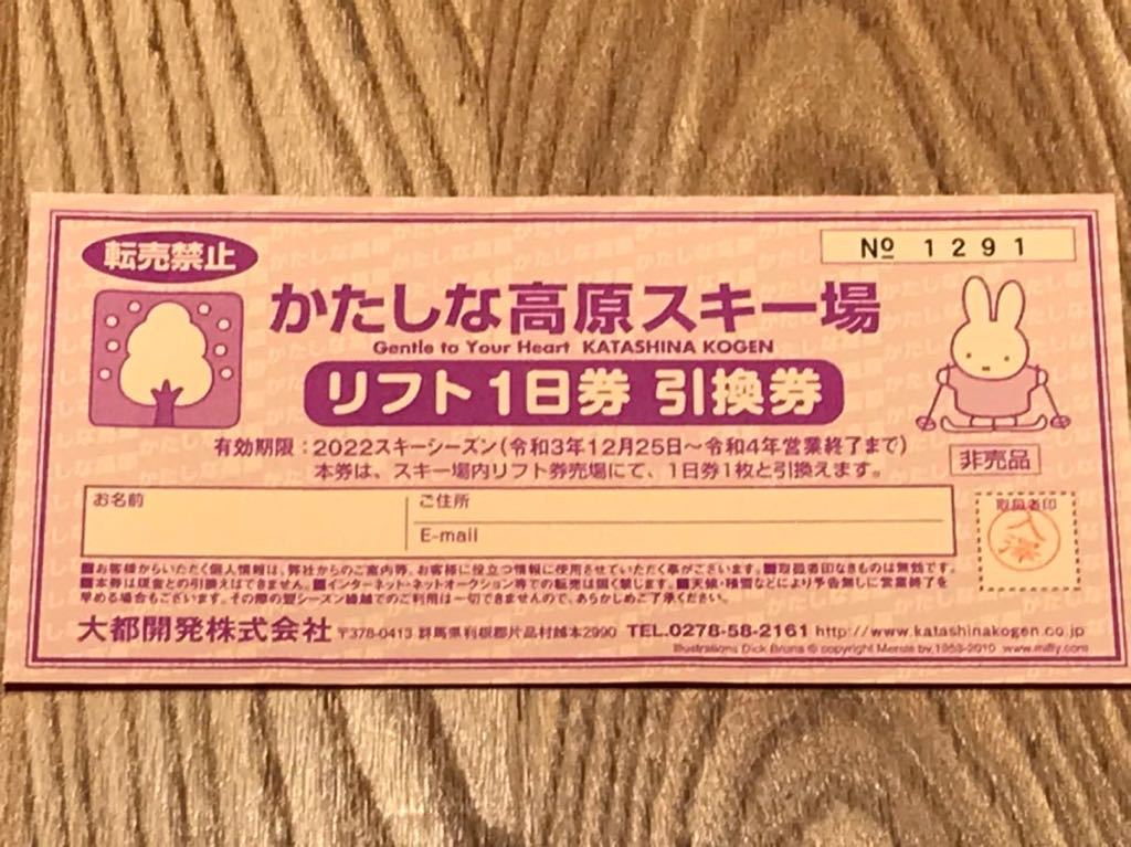 かたしな高原スキー場 リフト券 1枚 送料込み