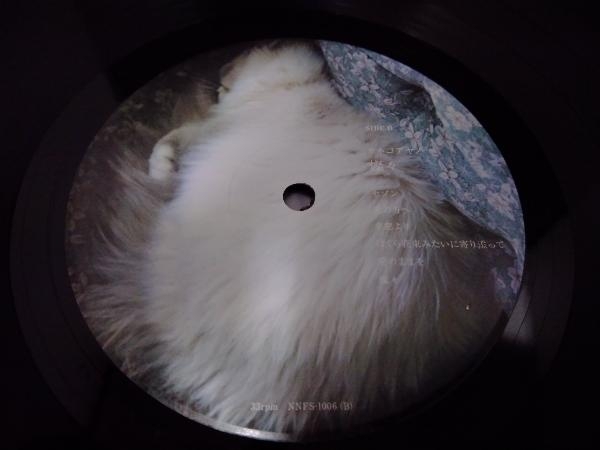 LP盤】カネコアヤノ 燦々 重量盤 NNFS-1006 帯付き レコード アナログ 