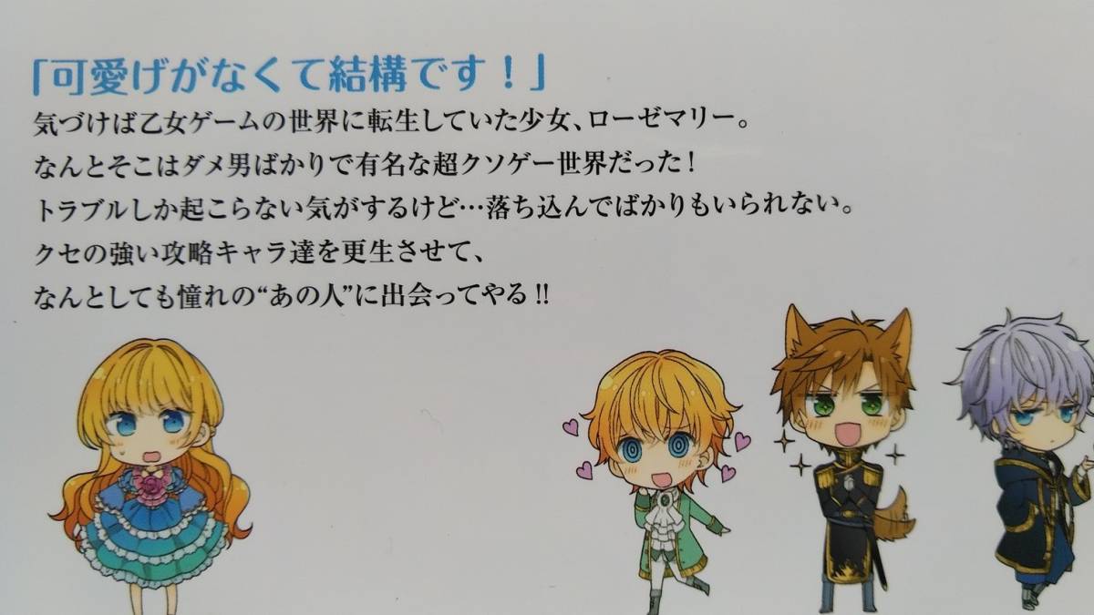 転生王女は今日も旗を叩き折る １ ４巻 玉岡かがり ビス アリアンローズｃ 女性 売買されたオークション情報 Yahooの商品情報をアーカイブ公開 オークファン Aucfan Com