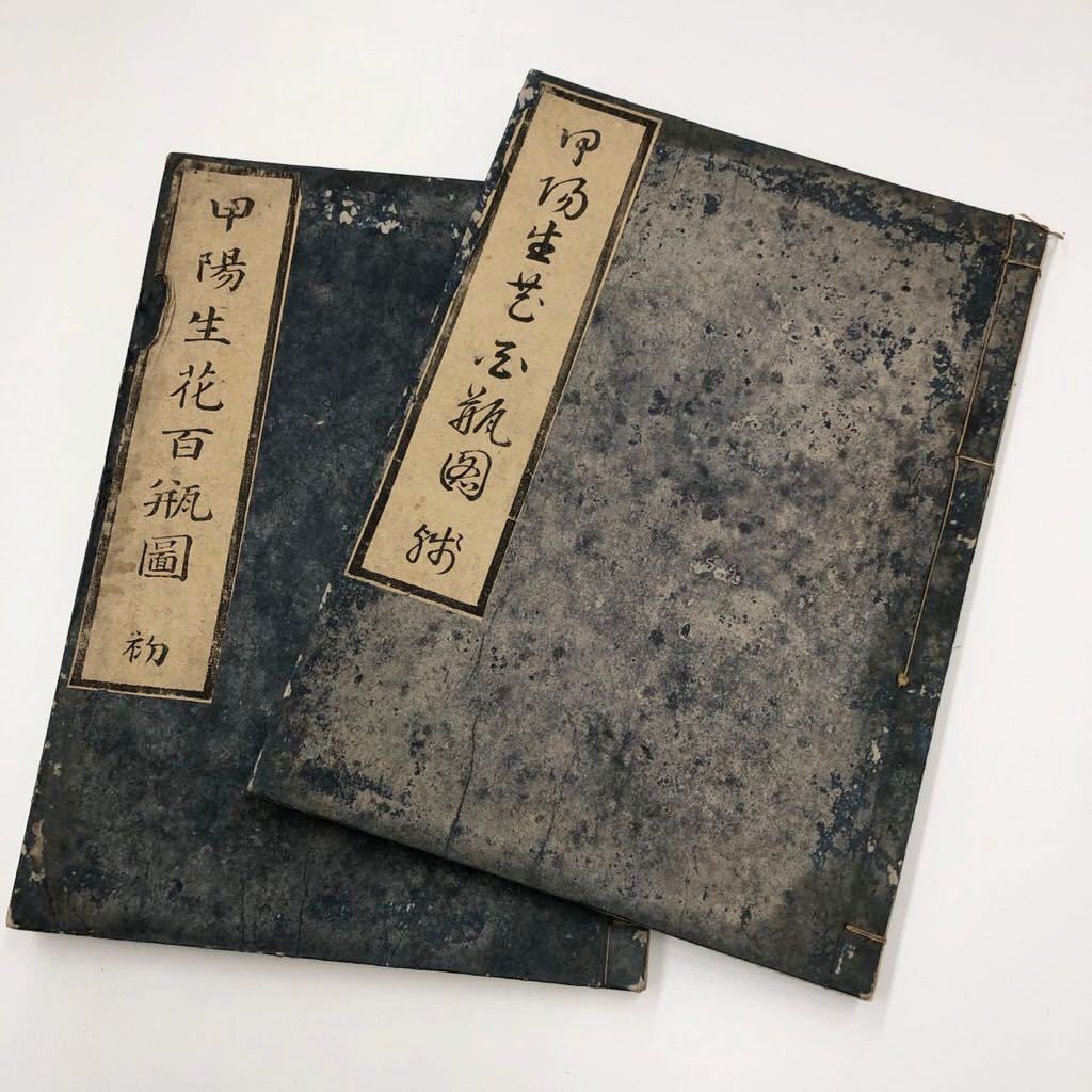 【人気セール，SALE】 甲陽生花百瓶図 2冊 花道/華道/池坊/華月流/遠州流/未生流/古流/松月流/小原流/江戸時代/版本/和本(和書)｜売買されたオークション情報、yahooの商品情報をアーカイブ公開 - オークファン 和書