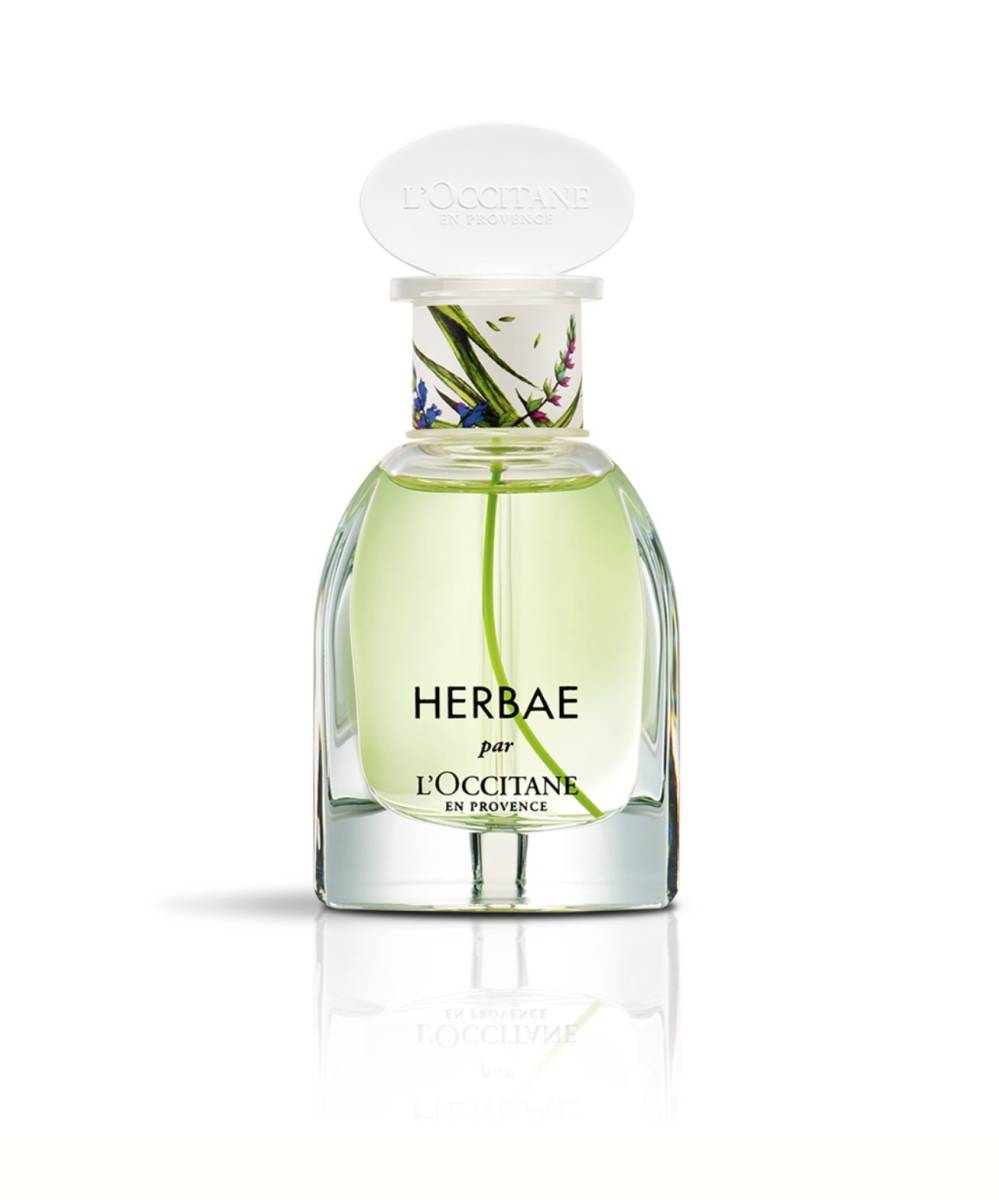 ロクシタン エルバヴェール オードパルファム 50ml ◇ ハーブ