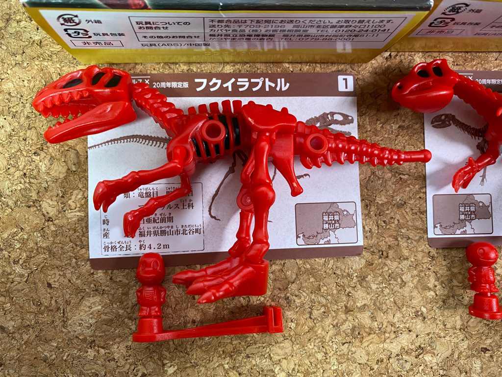 非売品 ほねほねザウルス1 22巻 ほねほねザウルス恐竜博物館 絵本 Prostomatologiya Kiev Ua