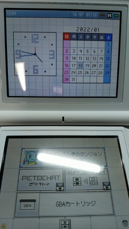 限定品 ポケモンセンターオリジナル ニンテンドーDS Lite ギラティナ