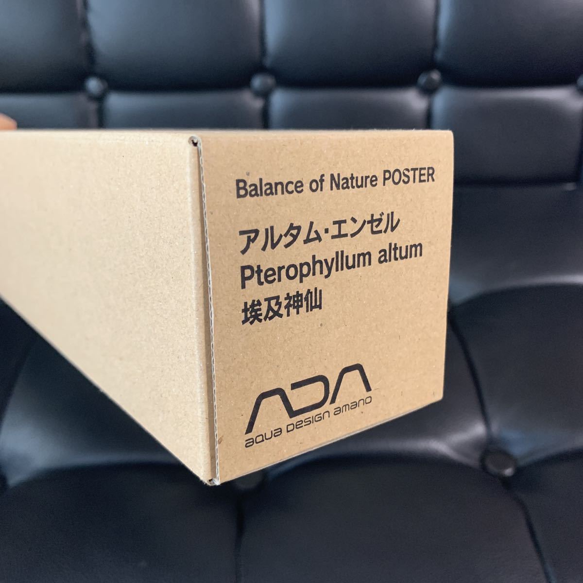 ADA】新品未開封 Balance of Natureポスター アルタムエンゼル 大判 