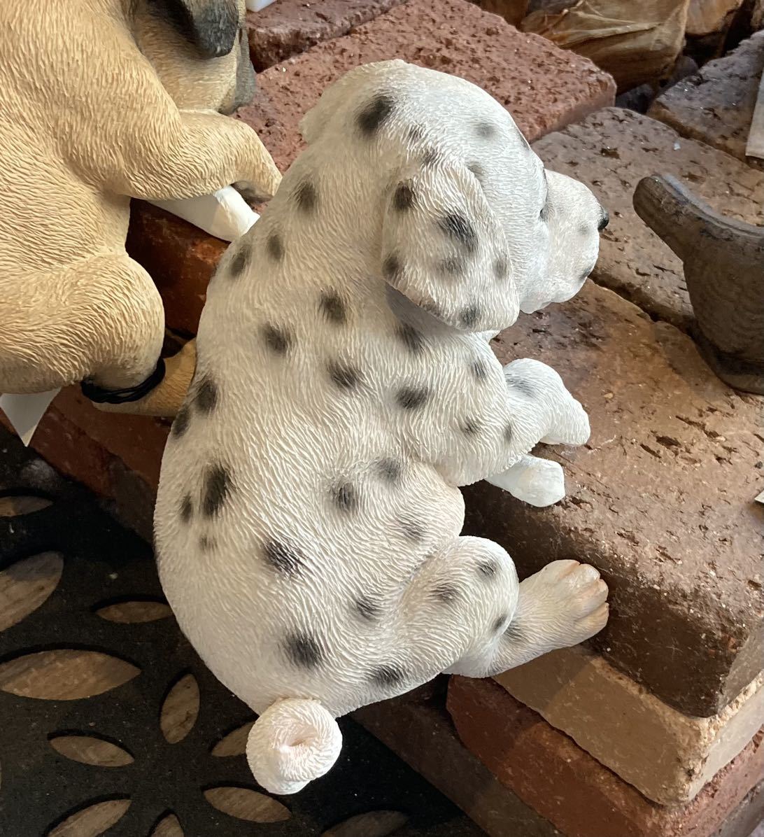ダルメシアン 可愛い本物そっくりの犬の置物 玄関 ガーデン インテリア 101匹ワンちゃん ディズニー プレゼントにも その他 売買されたオークション情報 Yahooの商品情報をアーカイブ公開 オークファン Aucfan Com