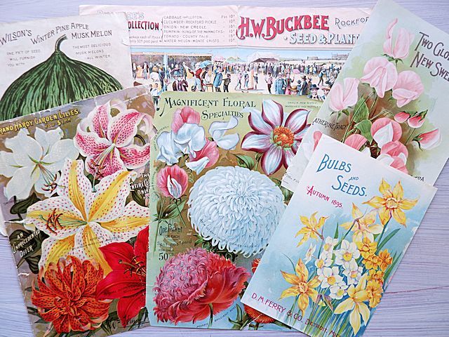 アメリカアンティーク 種のカタログページ６枚セット 10年代 カラーイラスト 花 果実 野菜 コラージュ ジャンクジャーナル 紙もの その他 売買されたオークション情報 Yahooの商品情報をアーカイブ公開 オークファン Aucfan Com