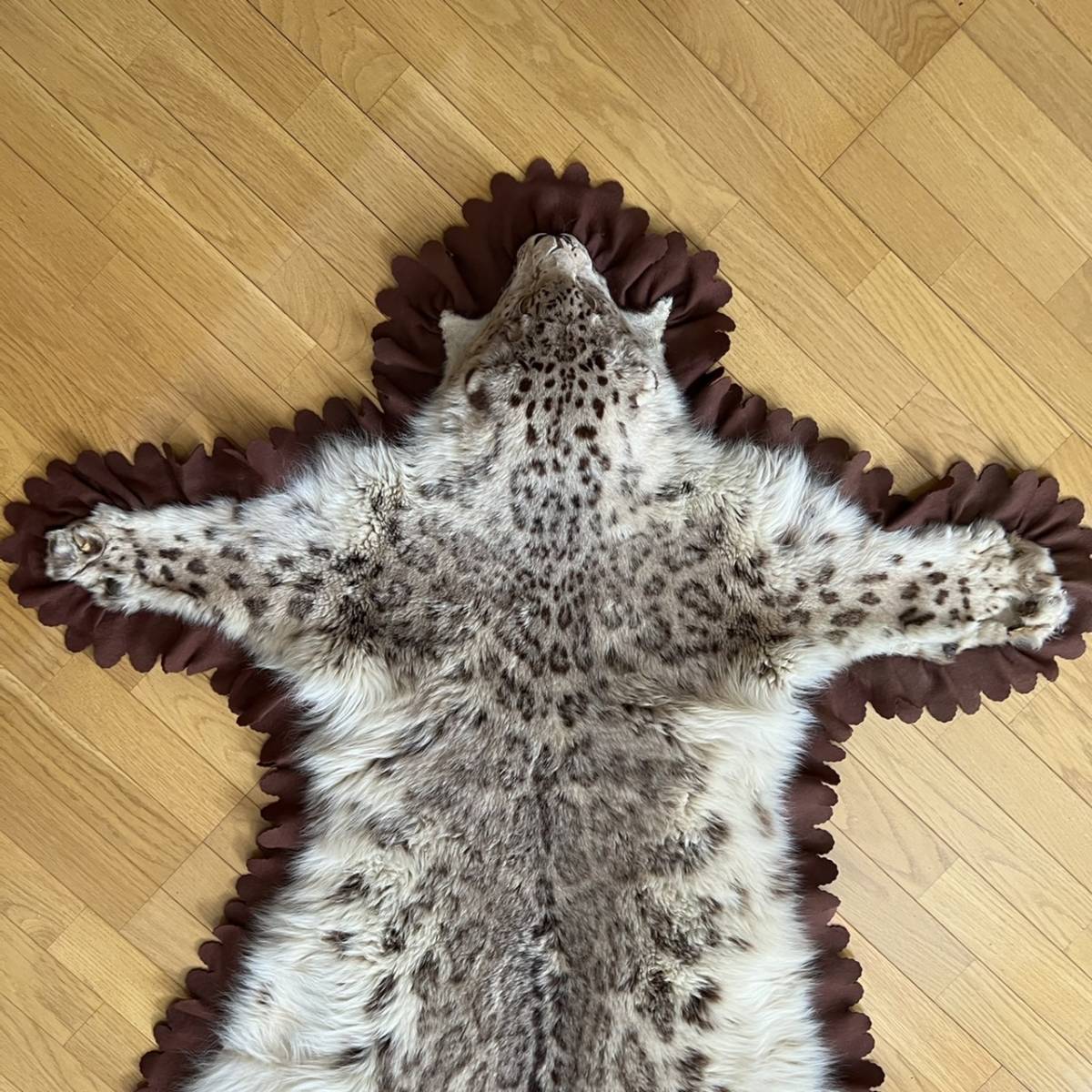 【登録票/国際希少野生動植物種】120cm ヒョウ 毛皮 敷皮 敷物 ラグマット ユキヒョウ 剥製 全長212cm 国際希少野生動植物種登録票付 稀少 雪豹