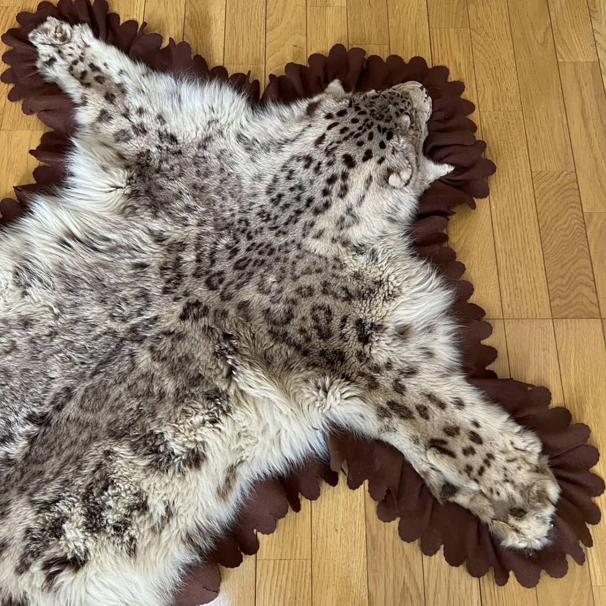 ユキヒョウ 剥製 全長212cm 国際希少野生動植物種登録票付 稀少 雪豹