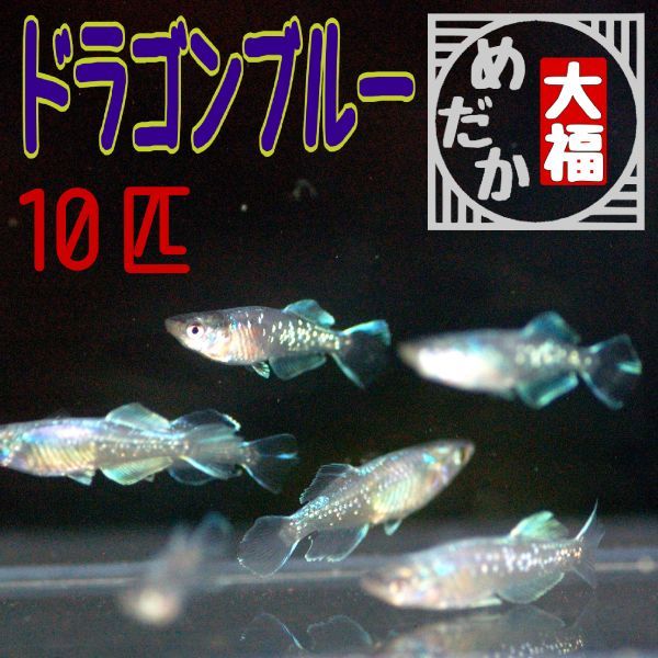 f1030413415.4