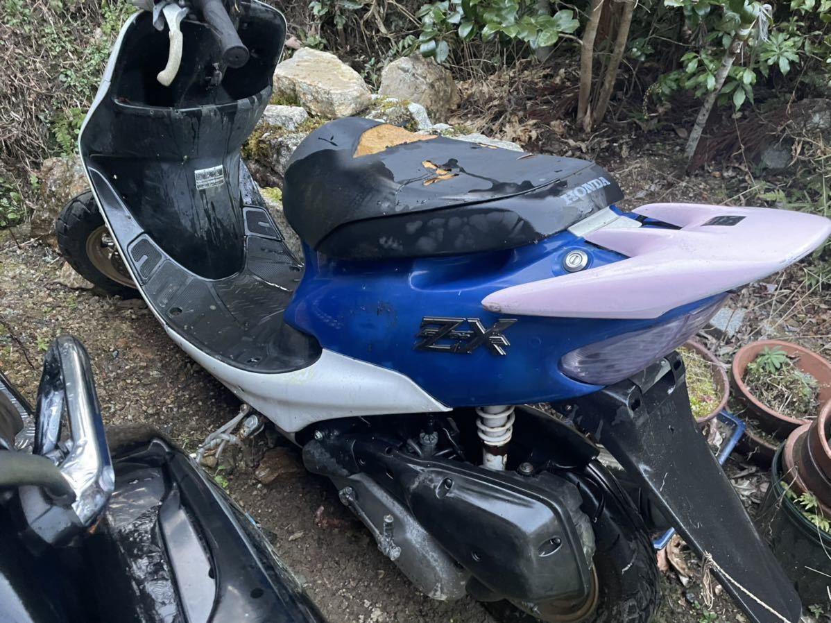 ライブDIO ZX 希少価値の高い規制前96年式 ボディ青スケルトン(50cc