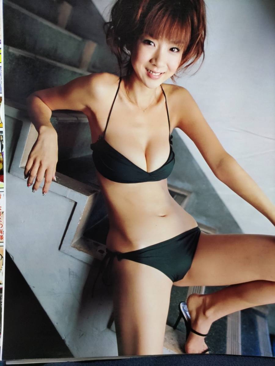 ほしのあき 両面ピンナップ グラビア切り抜き９ページ 送料込 人気沸騰ブラドン