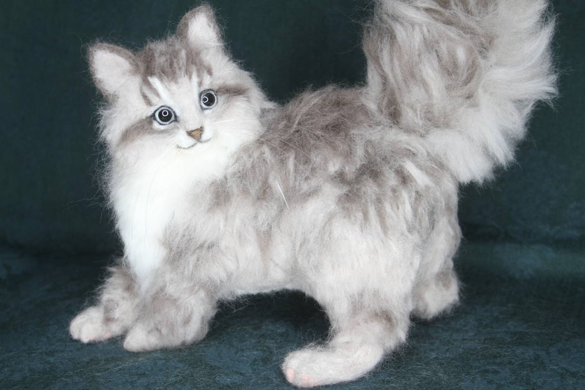 羊毛フェルト 猫 ラガマフィン 羊毛フェルト 売買されたオークション情報 Yahooの商品情報をアーカイブ公開 オークファン Aucfan Com