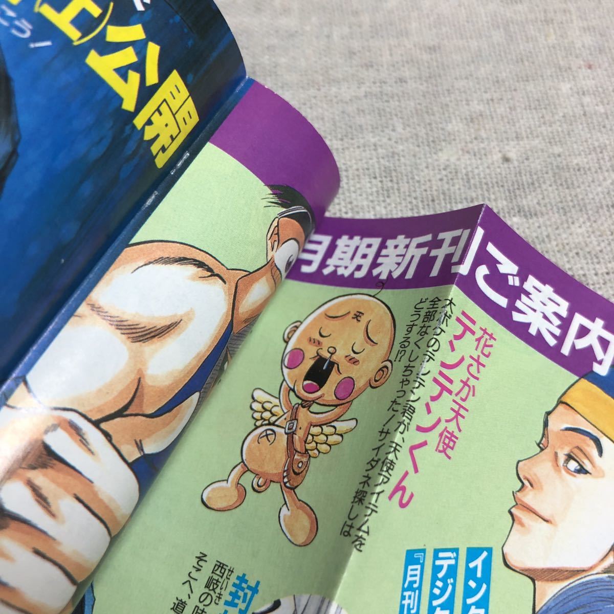 集英社のコミックスニュースvol.195 新刊案内 初版冊子(チラシ