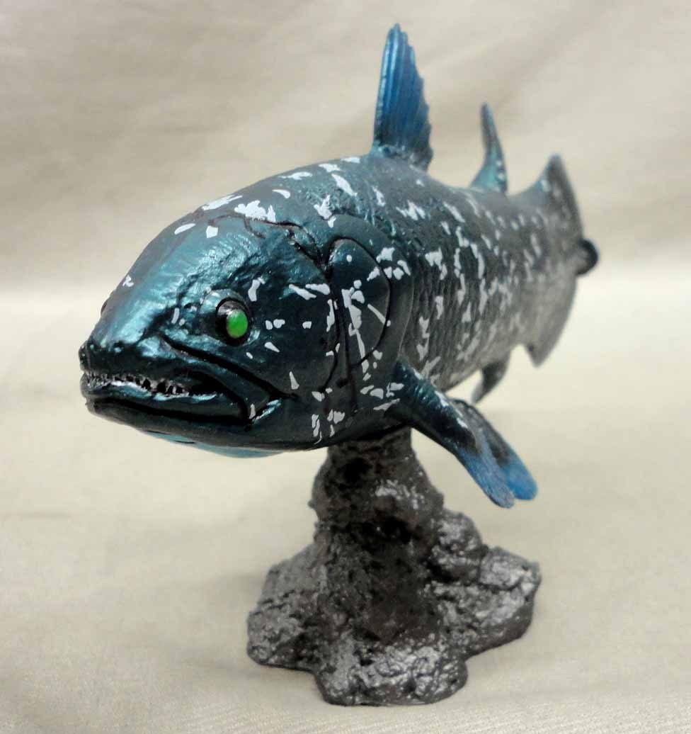 フェイバリットコレクション シーラカンス 生きた化石 ソフビ Favorite 生き物 売買されたオークション情報 Yahooの商品情報をアーカイブ公開 オークファン Aucfan Com