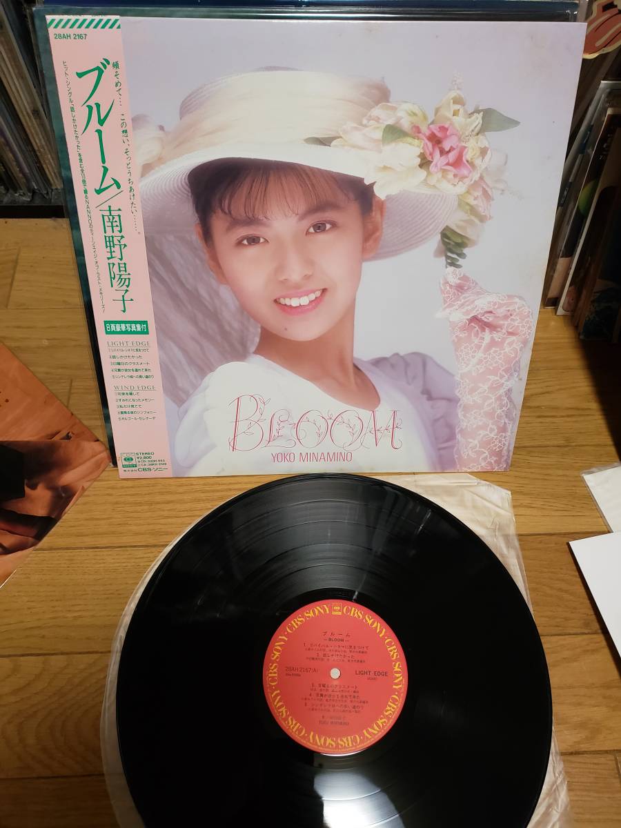 レコード南野陽子 その2
