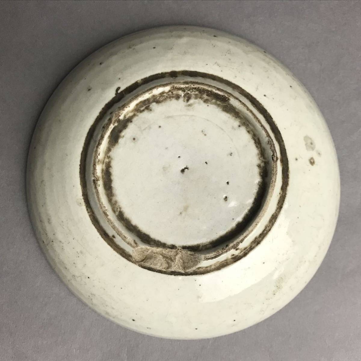 古伊万里 染付皿 花草文 江戸時代 骨董 【公式通販】