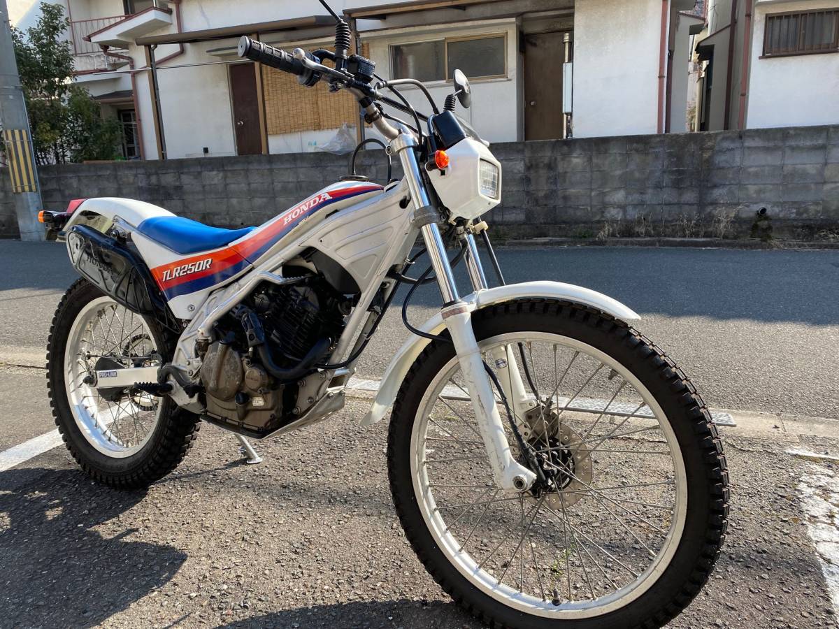 希少！！TLR250Rトレッキング仕様ディスクブレーキ書類あり(126cc 