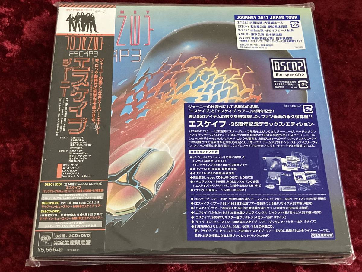 ポール・マッカートニー UK盤LP ☆極美品 - RAIN DRIVING PAUL