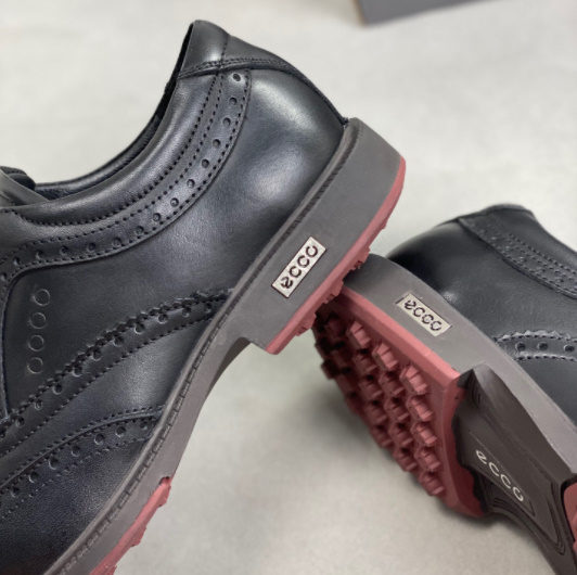 【ecco】ゴルフシューズ スポーツシューズ メンズ▲アウトドア スポーツ 通気性 プロ 人気 防水 22_2