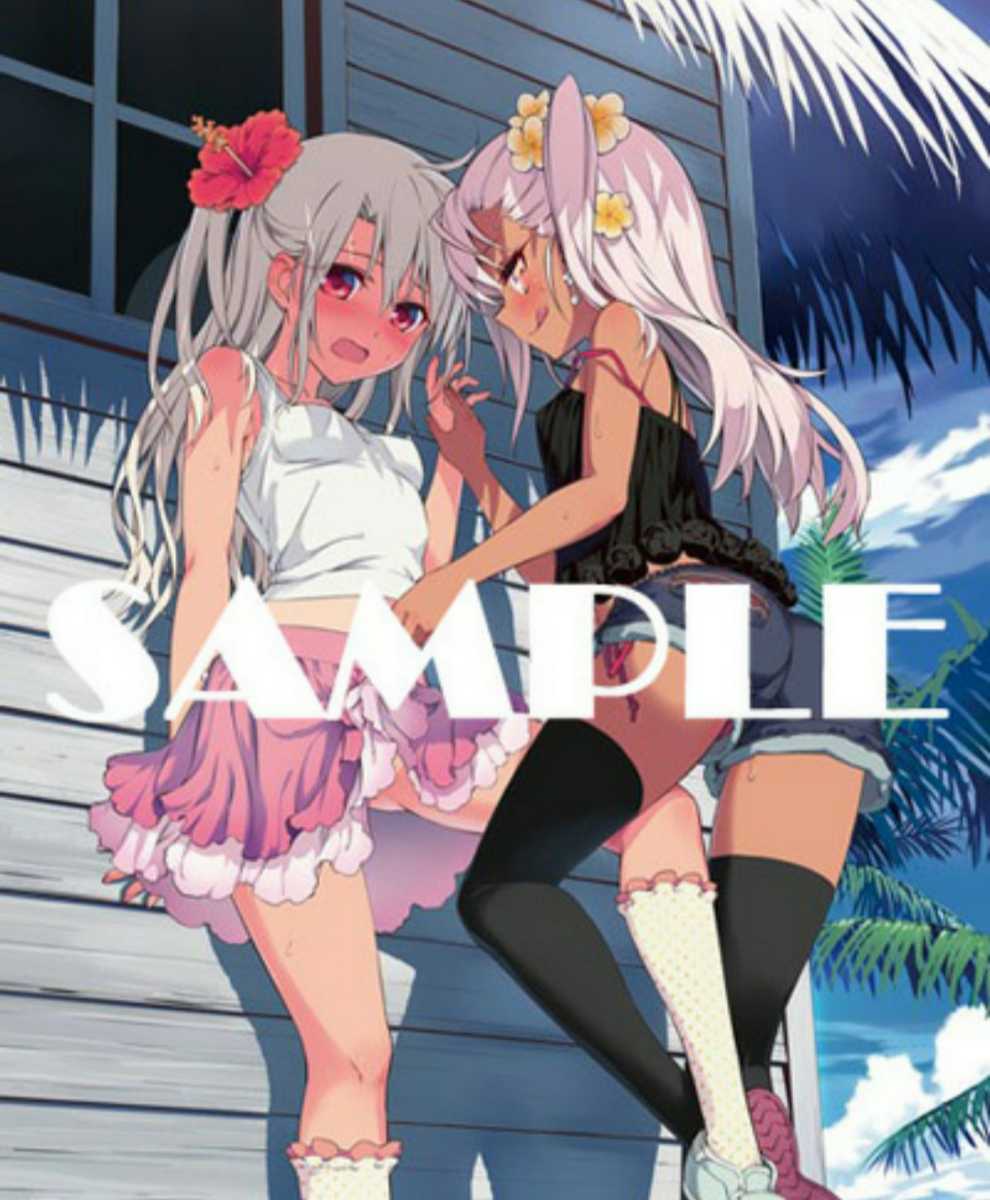 プリズマ イリヤ ツヴァイ ヘルツ イリヤ クロエ Dvd Blu Ray購入特典 A3クリアポスター W219 その他 売買されたオークション情報 Yahooの商品情報をアーカイブ公開 オークファン Aucfan Com