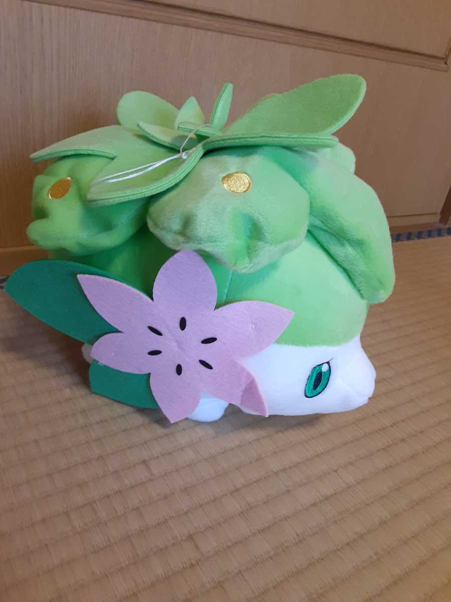 定形外510円 ポケモンフォーカス っかいぬいぐるみ シェイミ ランドフォルム ポケモン ポケットモンスター 売買されたオークション情報 Yahooの商品情報をアーカイブ公開 オークファン Aucfan Com