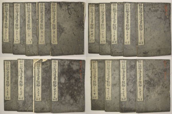 科註妙法蓮華経鈔」定珍 18冊｜仏教書 仏書 経典 漢籍 漢文 中国 江戸