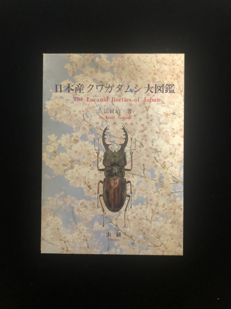 【100%新品，爆買い】 日本産クワガタムシ大図鑑/吉田賢治 著/虫研(生物学)｜売買されたオークション情報、yahooの商品情報をアーカイブ公開 - オークファン 生物学
